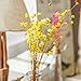 MLSG 100 Stems Natural Dry Flowers Brazilian Small Star Daisy Decorative Dried Flowers Mini Daisy Chamomile Bouquet for Wedding Floral Arrangements Home Decorations (Autumn Color)