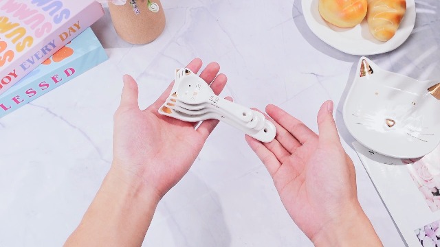 Amazon.com: Patelai 5 Pcs Cat Measuring Spoons Set Kitchen Ceramic