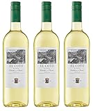 vino blanco diamante rioja semidulce En su cata, el vino se descubre fresco, tanto en nariz como en boca