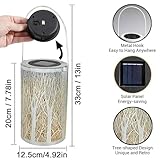 Zoom IMG-1 joysing lanterne solari da esterno Zoom IMG-1 joysing lanterne solari da esterno