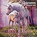 Produktbild Unicorns by Anne Stokes  Einhörner von Anne Stokes 2019 (Wall-Kalender)