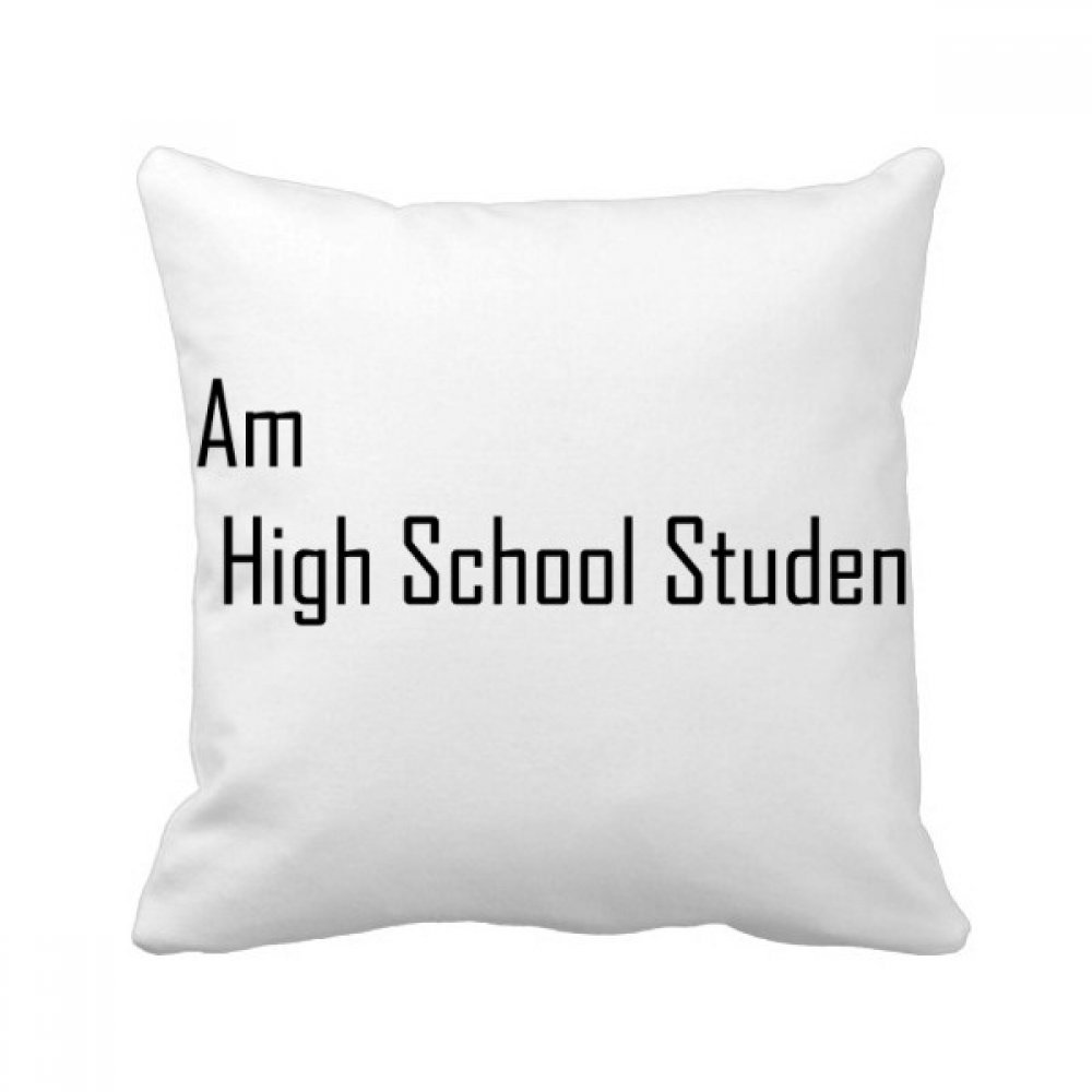Coussin vétérinaire 40x40cm pour soulager le dos et égayer un canapé terne