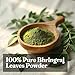 Bhringraj Powder Organic for Hair Growth (3.5 oz - 0.2 lb) Eclipta Alba for Hair Growth - False Daisy Herb Bhringraj - Karisalankanni Eclipta Prostrata (100g)