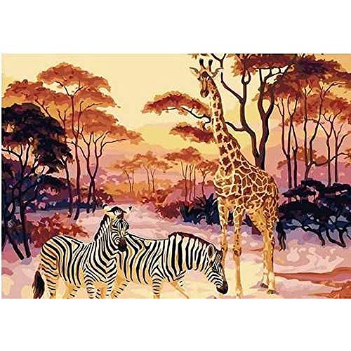 Peinture par numéros acrylique avec cadre pour peindre facilement sans déborder