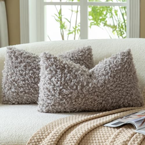 Mandioo Lot de 2 Housses de Coussin Taupe 30 x 50 cm Fausse Fourrure Bouclé Sherpa Épaisse Décorative Taie d’Oreiller Douce pour Canapé Lit Salon
