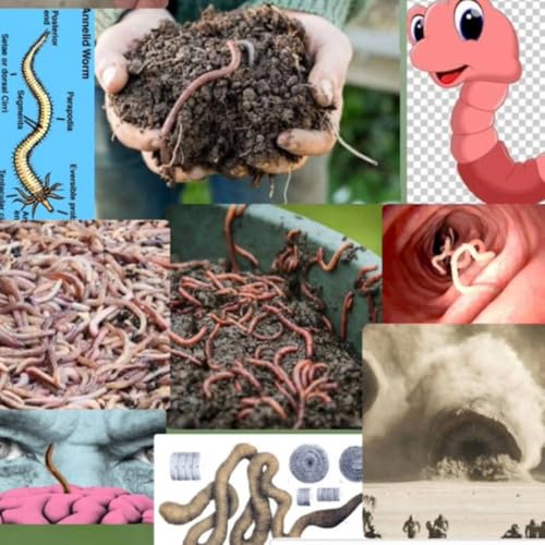 Episode 8: Songs about Worms