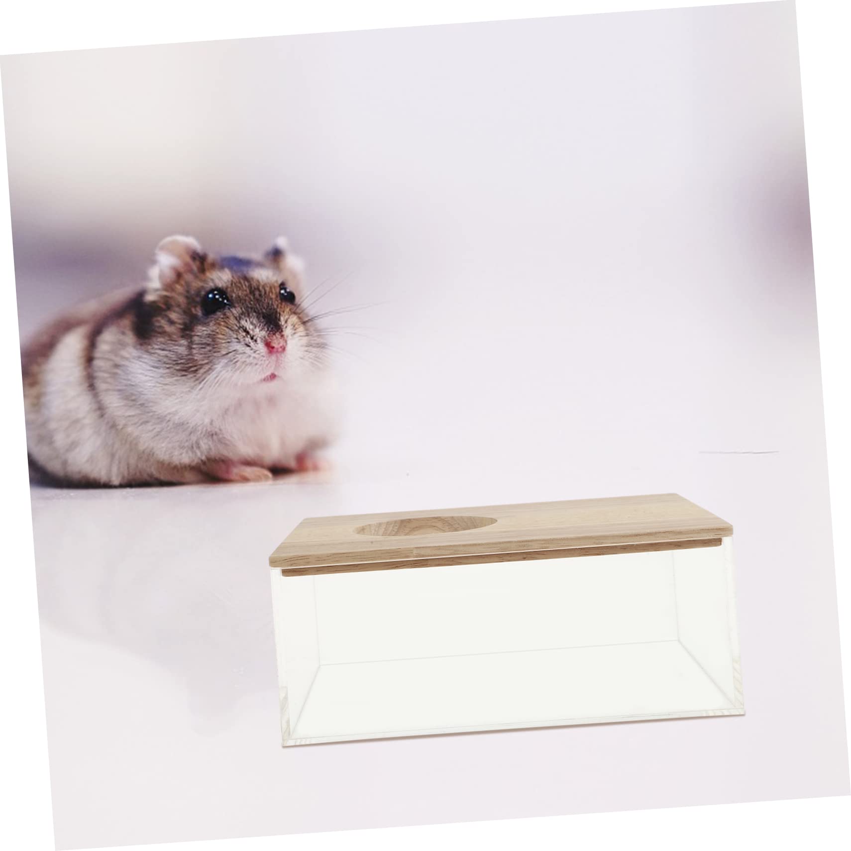 Transparentes Hamster Sandbad mit Spritzschutz, Acryl Holz, für Kleintiere
