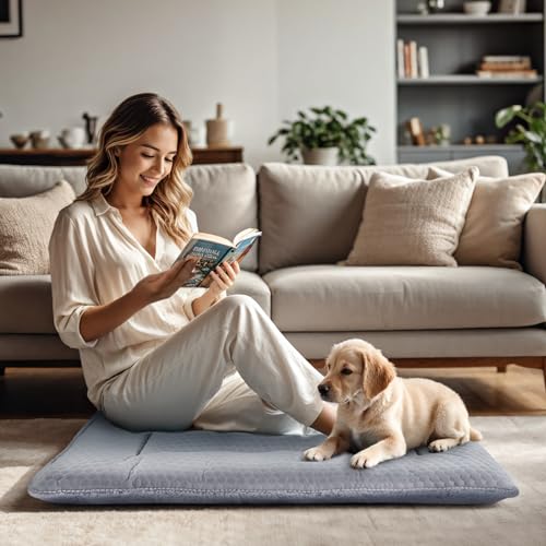 BVAGSS Hundebett Kleine Hunde Reversible, kühl und warm Matten Hundekissen, Waschbar Hundematte für klein mittel große Hunde XH080 (45x33cm,Grau)