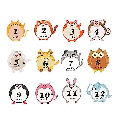 ULDIGI 12 ̃XebJ[ V}CXg[  V̌ԃ}CXg[ O V[ f xr[XebJ[ cXebJ[ xr[f ̑