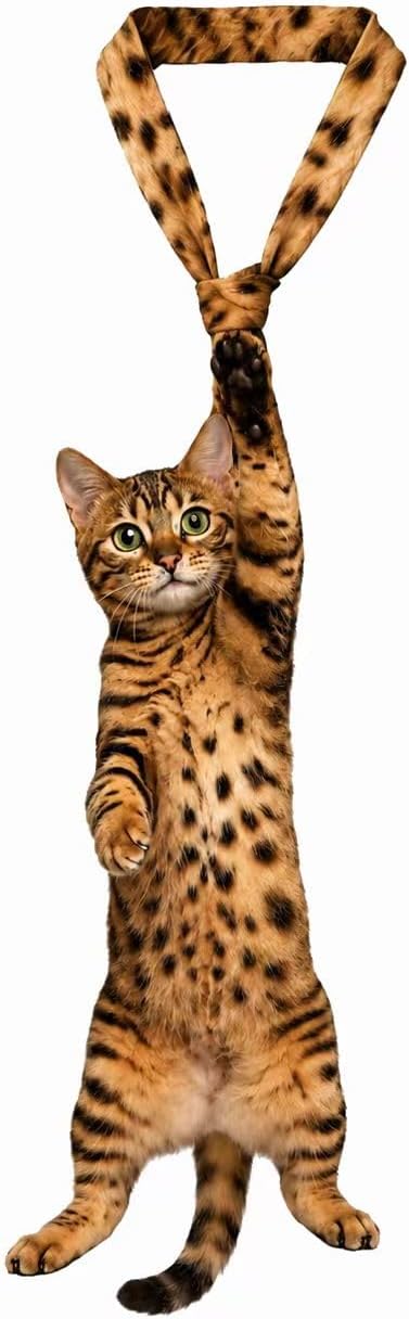 Men's Cat Print Necktie, Novelty Funny Kitten Graphic Tie, 3D Design Valentine's Day and Father Gift