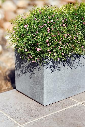 VIVANNO Blumenkasten Balkonkasten Pflanzkasten Beton grau FLOBO - 18x60x18 cm