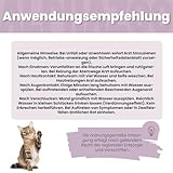 alphazoo Bye Bye Vloh Spot-On für Katzen 100ml – natürlicher Schutz gegen Flöhe mit Lavendel, Geraniol & Zitronen-Eukalyptus. Sanfte, alkoholfreie Pflege für Haut & Fell. Hautfreundlich & ohne Zusätze