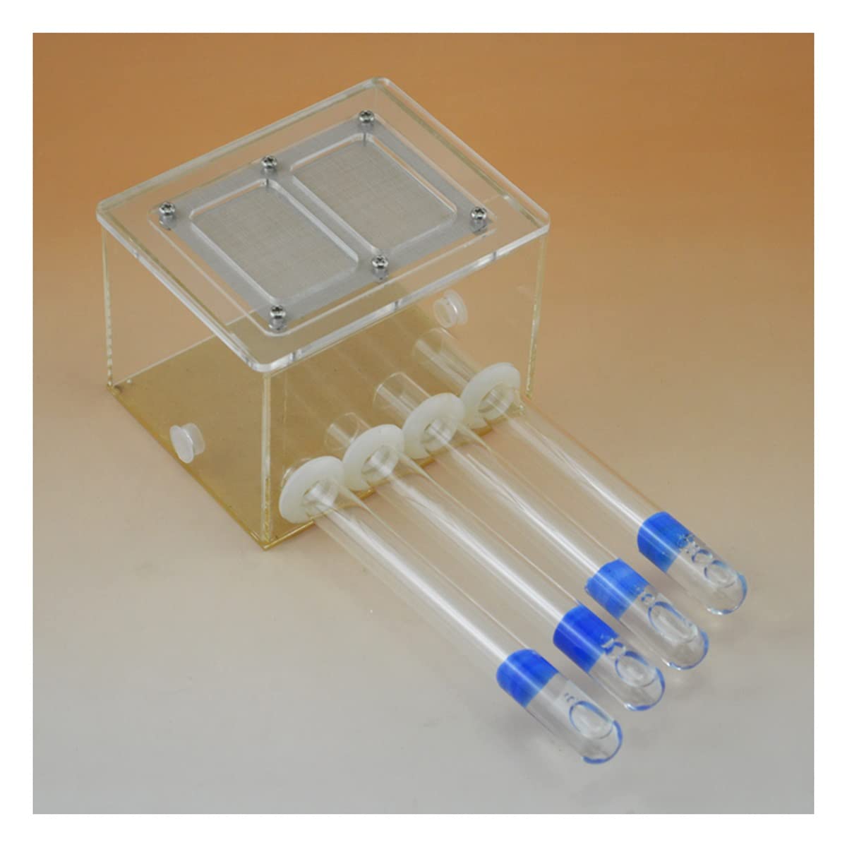 KXCR Educativas Formicarium 4 Tubo De Ensayo Hormigas Nido DIY Granja Hormigas, Hormiguero Acrilico Ant Caja Hábitat AntHouse Carcasa Hormiga Casa Mascota Regalo (Color : Box+Test Tube)