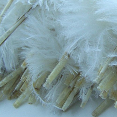 Kolight®20Pcs Ostrich Feather White 12"-14" Natural Feathers Wedding, Party,Home,Hairs Decoration #TOP2