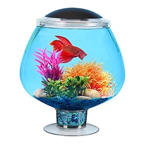 Koller Products 1.7-Gallon BettaTank with LED Lighting, 9.5″ Diameter x 11″ H
