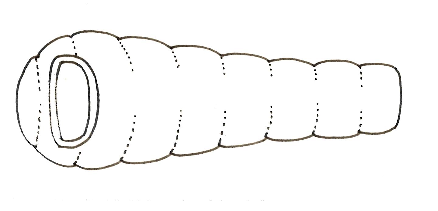 Amazon.co.jp: NORDISK ノルディスク Gormsson+10° L Sleeping Bag