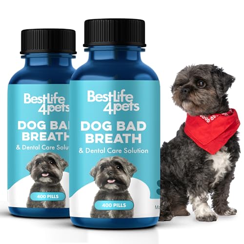 BestLife4Pets Oral Health Dental Care Supplement for Dogs – Plaque Tartar Remover Stomatitis & Gingivitis Control – Anti Inflammatory Tooth and Gums Pain Relief – Easy to Use Natural Pills (2 Pack) BestLife4Pets Oral Health Dental Care Supplement for Dogs – Plaque Tartar Remover Stomatitis & Gingivitis Control – Anti Inflammatory Tooth and Gums Pain Relief – Easy to Use Natural Pills (2 Pack)