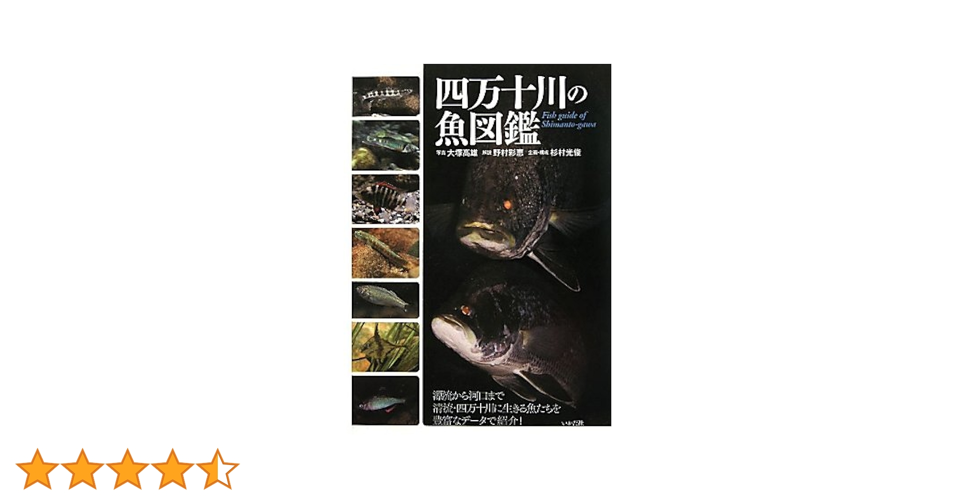 四万十川の魚図鑑 | 大塚 高雄 |本 | 通販 | Amazon