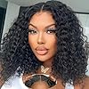 Wear and Go Glueless Wigs Human Hair Pre Plucked Pre Cut Lace Front Wigs for Black Women 180 Density Water Wave Bob Wig Human Hair Curly Wig (14 Inch)