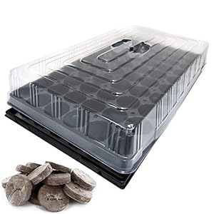 GREEN24 PRO40-JIFFYHAUS Zimmer-Gewächshaus Komplett-Set