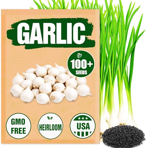 Garlic Seeds for Planting (Allium sativum) - 100+ Heirloom Non-GMO - Easy-Grow Culinary Herb Robust Flavor Cold-Hardy Perennial Vegetable for Home Gardens