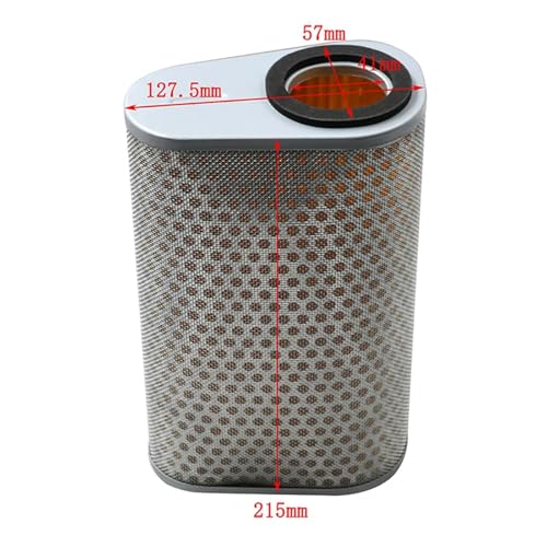 Filtre à air pour CBF1000 résout la perte de puissance - 3