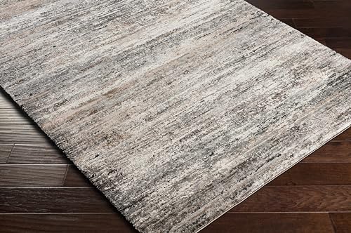 Tapete decorativo Hauteloom 7'10" x 10', gris