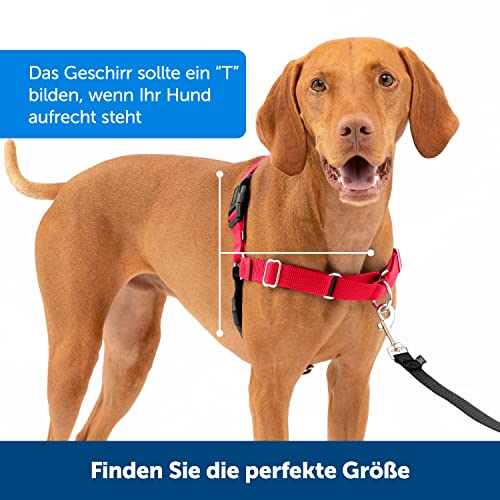 PetSafe Easy Walk-Geschirr, Anti-Zieh-Hundegeschirr, Verringert Würgen und Husten, Mit 1,8 M Leine, Größe L, Schwarz