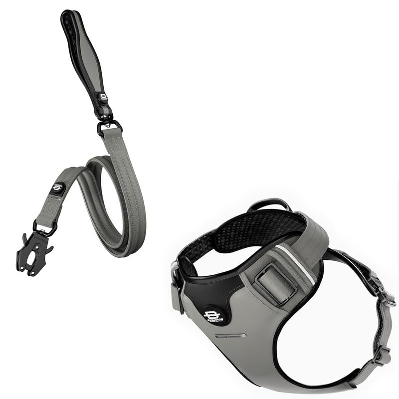 Bullyion ® Original Equipment Hygge Harness & All Action DUAL SWIVEL LEAD – Softcell Padding, Adjustable Fit – Durable Lead – Anti Tangle - Lockforce Metal Buckle & Clasp (SHEFFIELD STEEL - Size C)