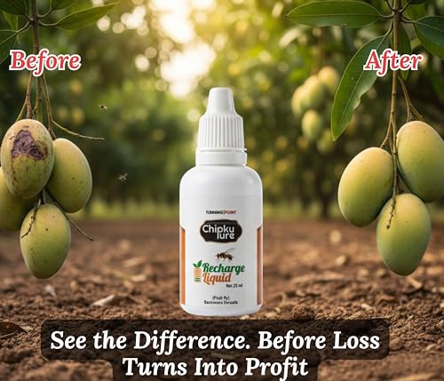 Image of Chipku - Fruit Fly Liquid 25ml Pack of 5 Bactocera Dorsalis attractant Recharge Liquid Methyl Eugenol, Long Lasting 100% Organic, Easy to Use for Mango, Papaya, Spota, Guava, Pomegranate, Sweet Fruit