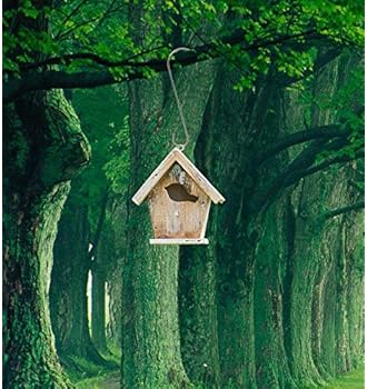 Explore Bird Feeder Hangers For Trees Amazon Com