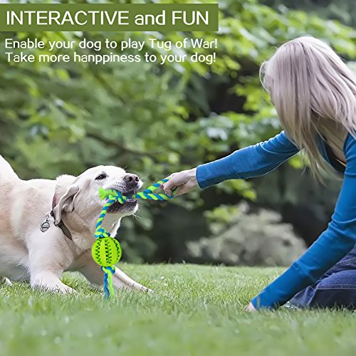 Chlebem Puppy Toys Interactive Dog Toys Balls For Small Medium Dogs Chew Teething Teeth Cleaning Treat Dispensing Durable Rubber Ball Dog Rope Toy For Tug Of War Playing In Indoor Outdoor (Green) #TOP3