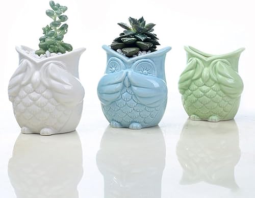 Miniatura 3 de NOLITOY Macetas de animales para suculentas, búho, macetas para plantas de interior, macetas decorativas para suculentas, decoración floral al aire