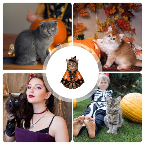 Disfraz de Halloween para gatos ideal para fotografía al aire libre 5