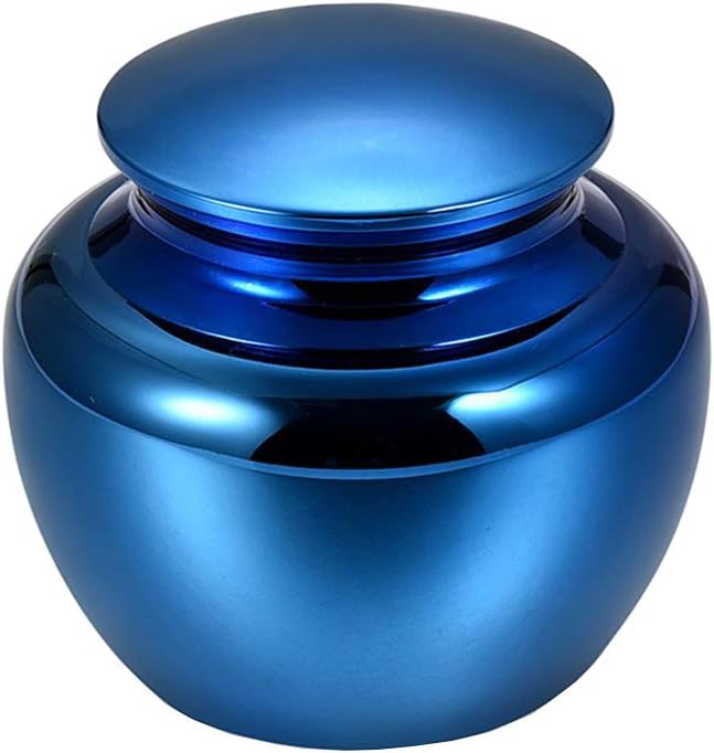 Small Keepsake Urns for Human Ashes Mini Cremation Urns for Ashes Stainless Steel Memorial Ashes Holder-Mini Funeral Cremation Urns Adult