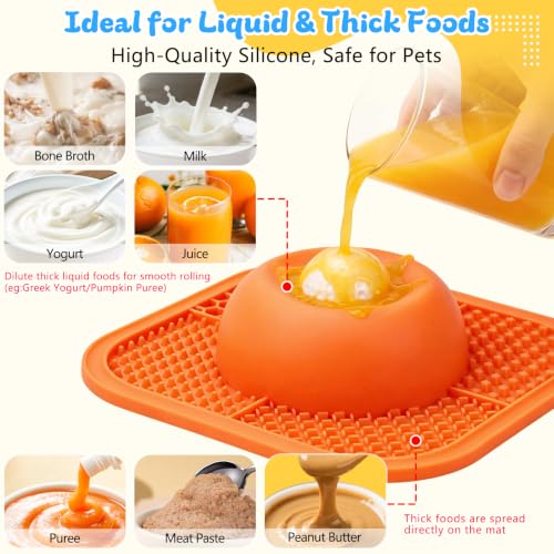 View 4