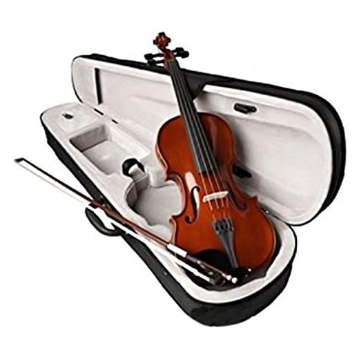 Kaps KV001 violin with case