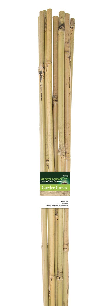 Tildenet GC-7 7-inch Heavy Duty Bamboo Garden Canes