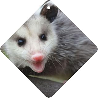 Possum Hissing 2-Piece Set Of Car Aromatherapy Tablets, Suitable For Car Interiors, Bedrooms, And Bathrooms Square