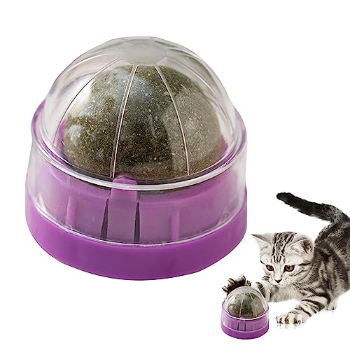 Tumotsit Wand Katzenminze, essbares Bio-Spielzeug für Kätzchen, Kauspielzeug mit Kugel, Katzenminze, Wand, Leckbälle für Katzenminze