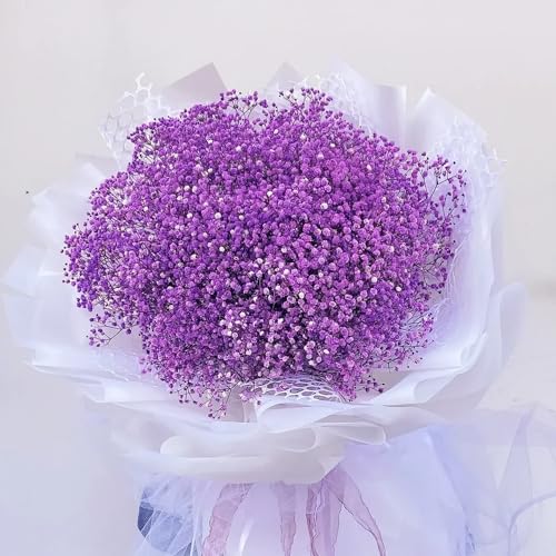 Dried Baby's Breath Flowers Bouquet Natural Dried Flowers Baby's Breath Real Gypsophila Branches for Wedding Table Vase Party Garden DIY Wreath Floral Home Decor(Purple) - Image 4