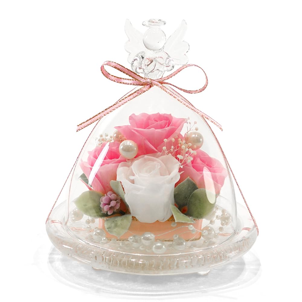 Amazon｜IPFA プリザーブドフラワー ガラスドーム エンジェル