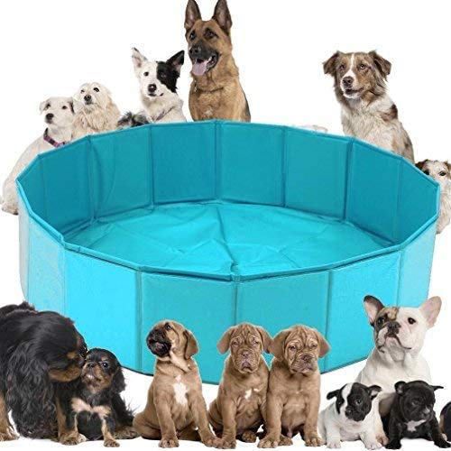 Chien piscine pliable et bassin de baignoire robuste pour animaux