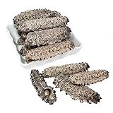 DOL Wild Caught,Sun Dried Mexico Black Pin Sea Cucumber All Natural Nutritious 高泡發墨西哥野生肥仔