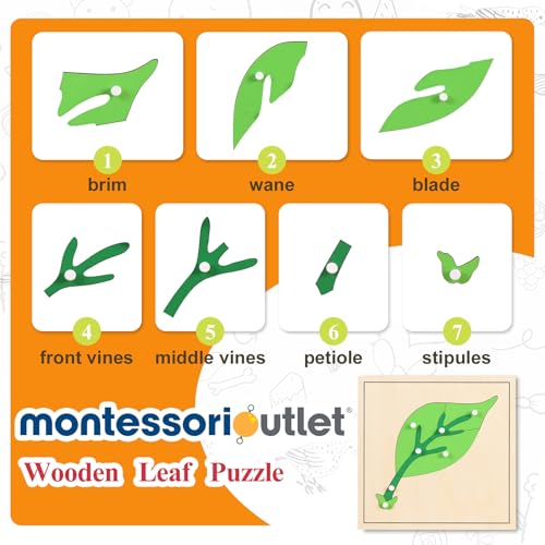 Image of MONTESSORI OUTLET Nature Materials Leaf Puzzle Early Preschool Learning Toys for 3-12 Year Old Kids and Toddler