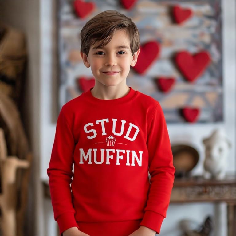 HH Family ボーイズ バレンタインデー スエットシャツ 男の子 恐竜、ハート、ビデオゲーム プルオーバー シャツ 子供用 衣