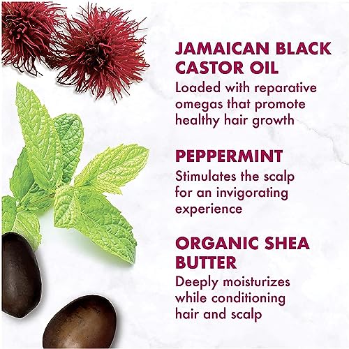 Shea Moisture - Jamaican Black Castor Oil Shampoo & Conditioner Set - Image 7