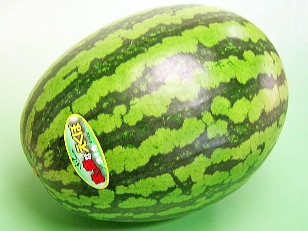 北海道四季工房 北海道富良野産 まっ赤なえくぼ西瓜（秀）(品種名 紅まくら)