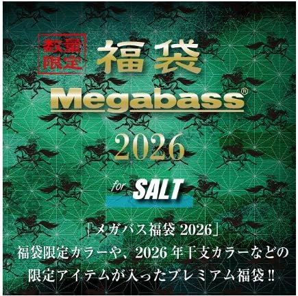 Amazon.co.jp: 2026メガバス福袋 SALT SET : ファッション