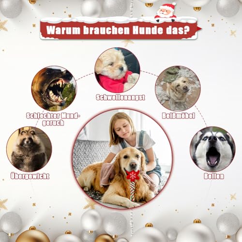 Tyafzzn 4 Stück Hundespielzeug Weihnachten, Hundespielzeug Unzerstörbar, Naturbaumwolle Hundespielzeug, Tolles Hundespielzeug für Geschenke für Hunde